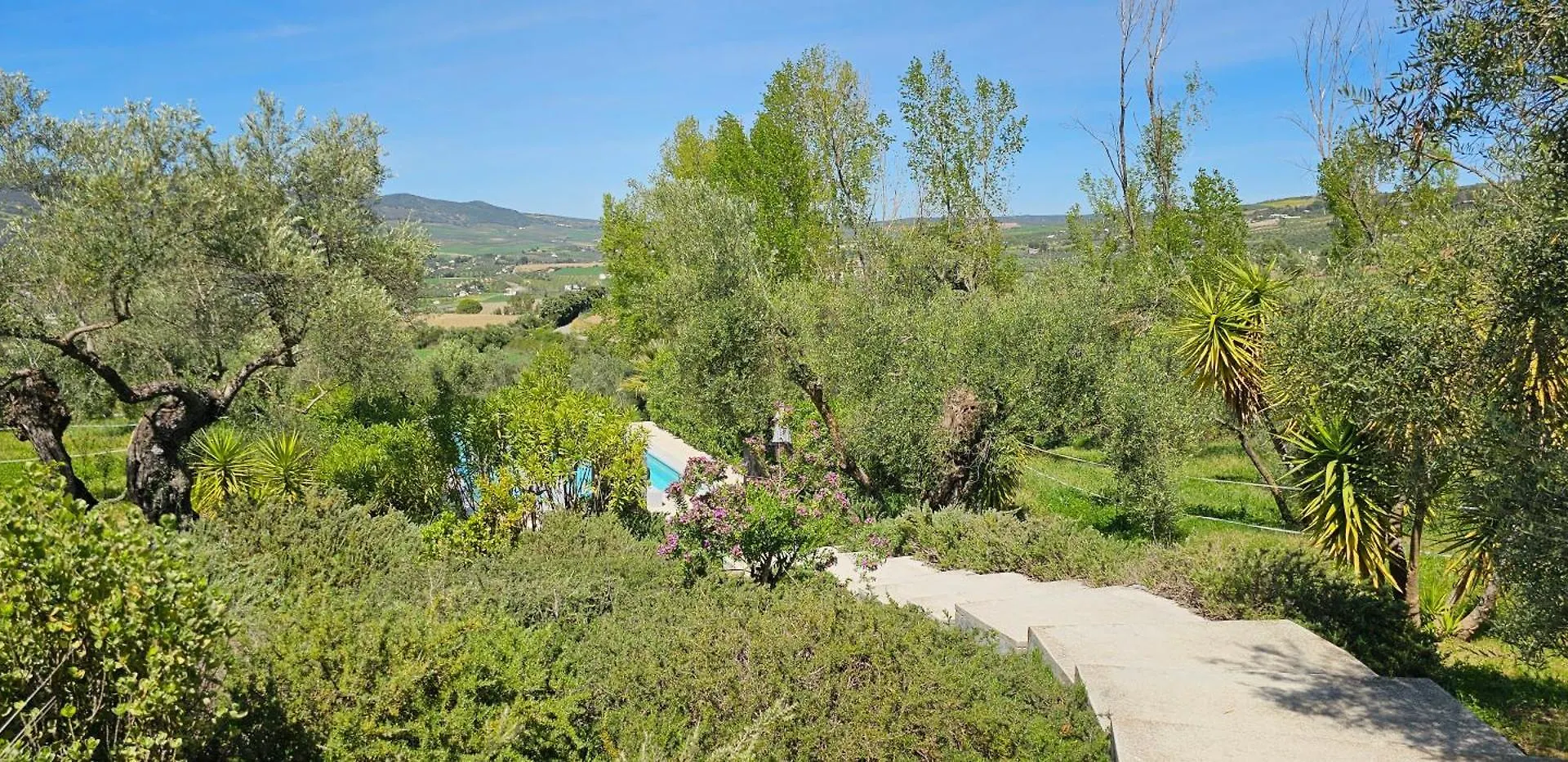 El Toro Blanco Luxury Villa In Andalucia Ronda