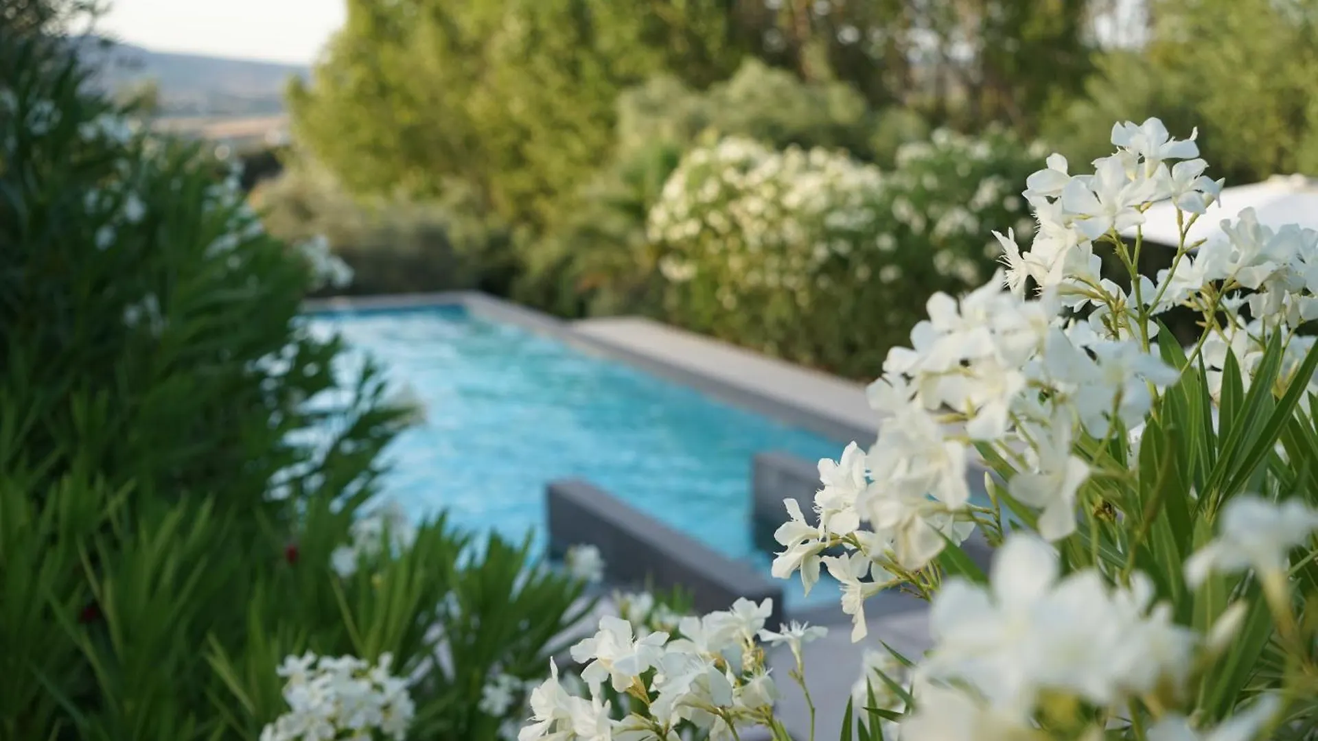 El Toro Blanco Luxury Villa In Andalucia Ronda